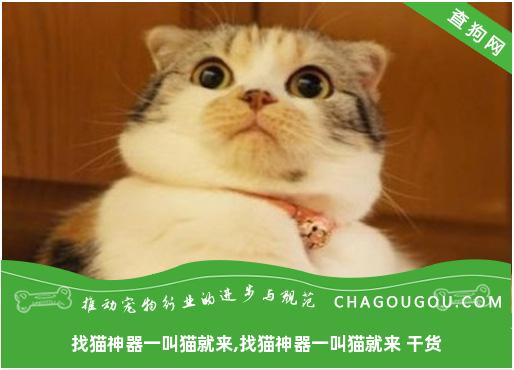 找猫神器一叫猫就来,找猫神器一叫猫就来 干货